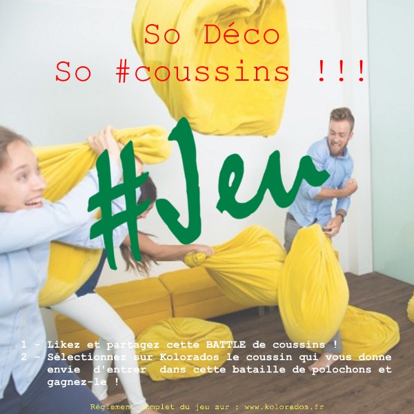 une-bataille-de-coussins-pour-jouer-avec-le-decor